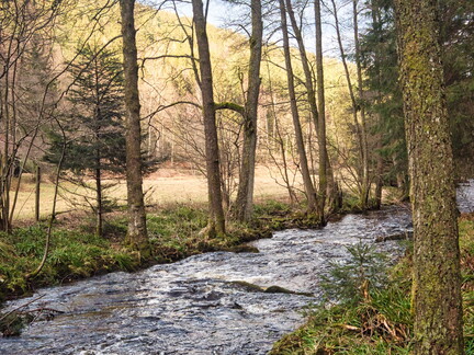 20220205202112-cb679c74